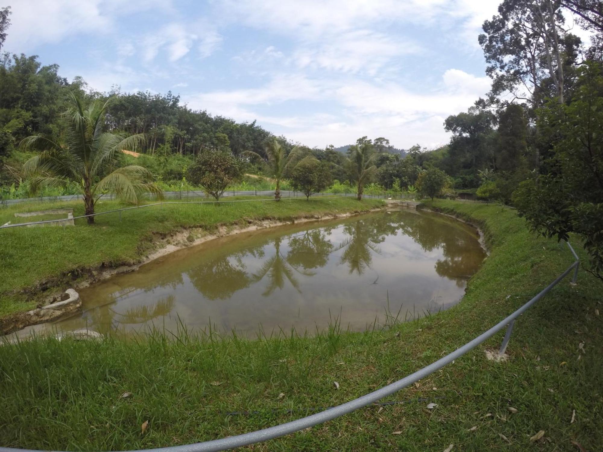 Santai De Lui Resorts Kampong Masjid  외부 사진